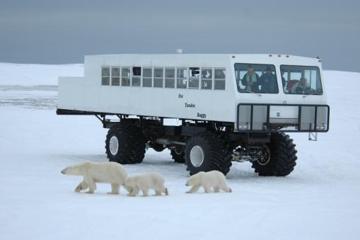 Tundra Buggy, Churchill, Manitoba, Canada