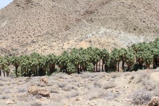 Palm Springs, California, USA