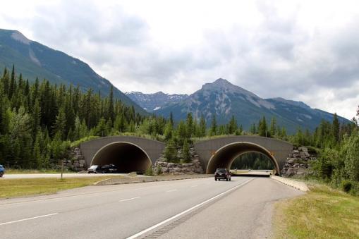 Trans Canada Highway Overpass