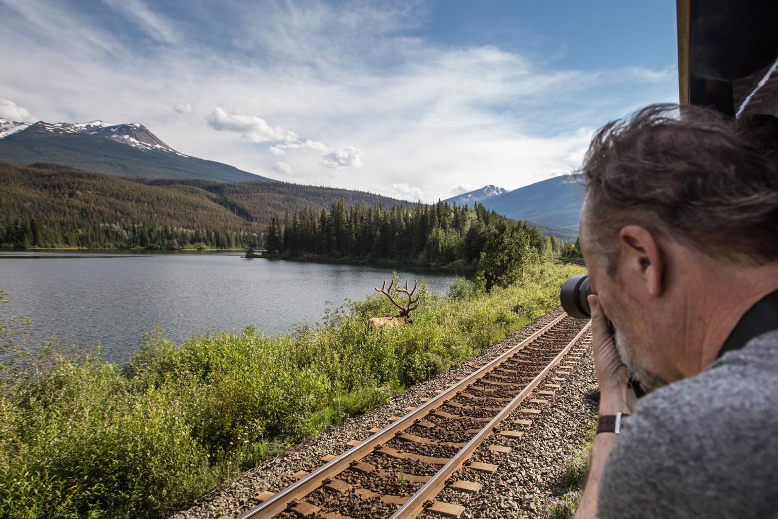 Rocky Mountaineer Guest taking a photo of wildlife from the GoldLeaf Service outdoor vestibule.